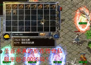 ʥڴ˽ɱBOSS