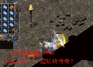 1.80ӢۺϻVIPѣһת棿