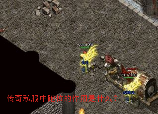 ˽λʲô