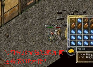 ˽ϮVIPУ