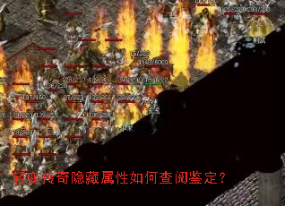 䴫βļ