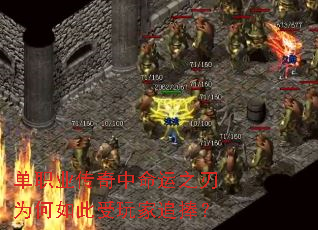 ְҵ֮Ϊ׷