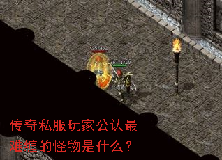 ˽ҹѲĹʲô