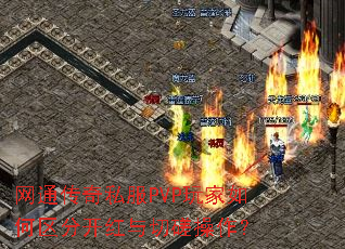 ͨ˽PVPֿд