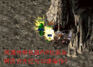 ͨ˽PVPֿд