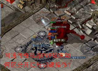 ͨ˽PVPֿд