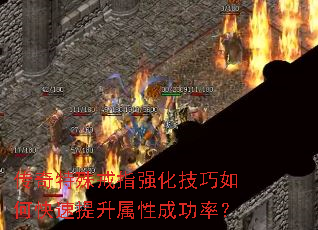 ָǿοԳɹʣ