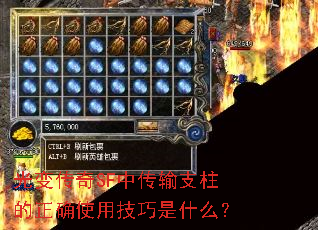 䴫SFд֧ȷʹüʲô