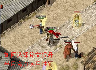 ѡ䵶ʵԣ