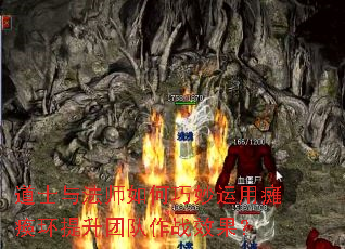 ʿ뷨ʦ̱ŶսЧ