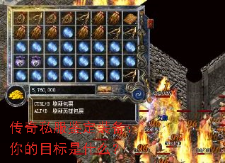 ˽װĿʲô