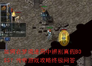ξԾбBOSSϷռʴ