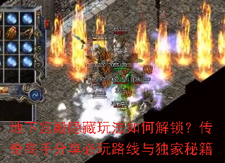 ¹淨νַ·ؼ