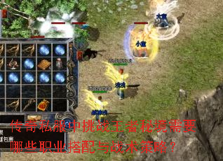 ˽սؾҪЩְҵսԣ
