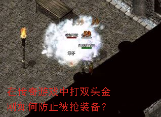 ڴϷд˫ͷηֹװ