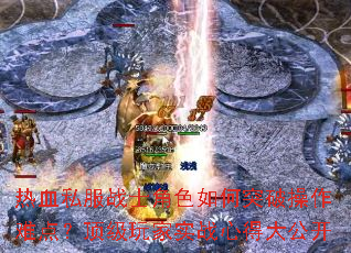Ѫ˽սʿɫͻƲѵ㣿ʵսĵô󹫿