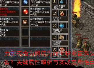 ָΪγΪսʿְҵѡװؼԽʵսӦָ