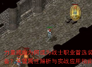 ָΪγΪսʿְҵѡװؼԽʵսӦָ