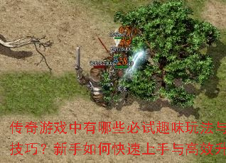 ϷЩȤζ淨ʵüɣοЧ