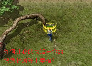 ������ҵĿ������Ŀ����ӵ����Ҹ���