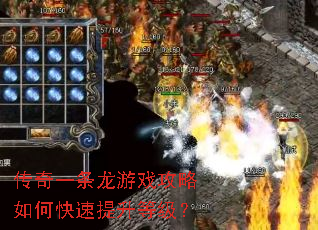 ����һ������Ϸ������ο��������ȼ���