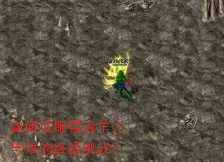 �������ѩ���������ǵ��ռ���ս��