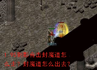 1.95��Ӱ�ϻ���ħ����ô�ߣ���ħ����ô��ȥ��