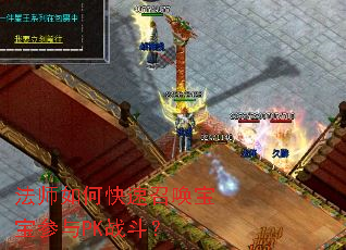 ��ʦ��ο����ٻ���������PKս����