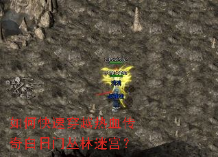 ��ο��ٴ�Խ��Ѫ��������Ŵ����Թ���