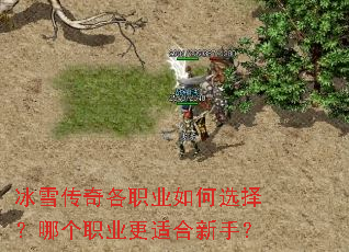 ��ѩ�����ְҵ���ѡ���ĸ�ְҵ���ʺ����֣�