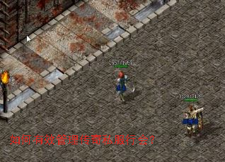 �����Ч��������˽���л᣿