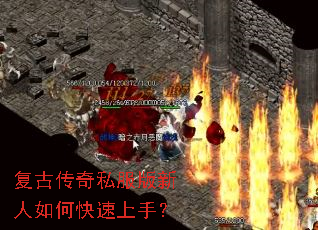 ���Ŵ���˽����������ο������֣�