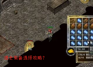 ��ʿװ��ѡ���ԣ�