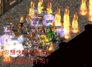 ������ٴӲ������Ϊ��Ϸ������