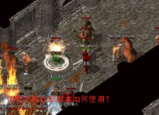 �������޲ֿ�ű����ʹ�ã�