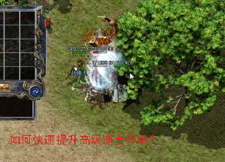 ��ο��������߼���ʿ�ȼ���