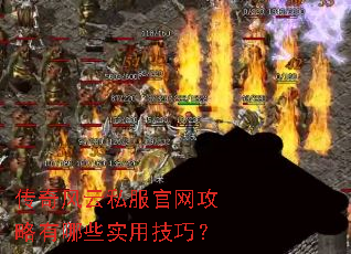 �������˽��������������Щʵ�ü��ɣ�