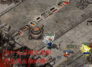 Ϊʲô�ٻ�������޷����ٻ����ޣ�