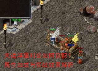 �������ʱװ��λ�ȡ�����Լӳ���ʵսЧ������