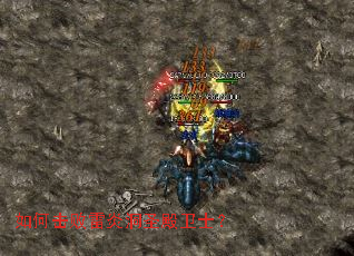 ��λ������׶�ʥ����ʿ��