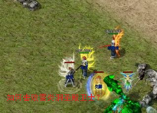 ��λ������׶�ʥ����ʿ��