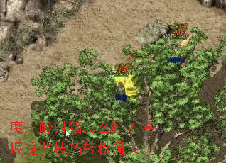 ħ����������ô��������Щ��������ͨ��