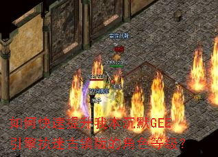 ��ο��������ұ���ĬGEE����ִ�Թ����Ľ�ɫ�ȼ���