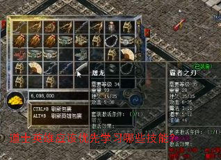 ��ʿӢ��Ӧ������ѧϰ��Щ���ܣ�