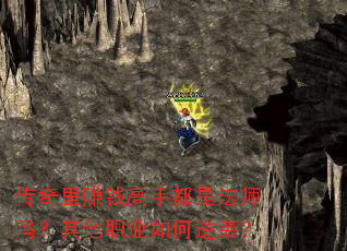 ������׬Ǯ���ֶ��Ƿ�ʦ������ְҵ�����Ϯ��