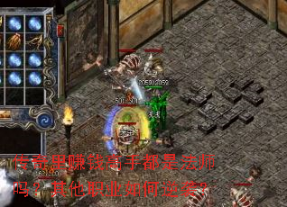 ������׬Ǯ���ֶ��Ƿ�ʦ������ְҵ�����Ϯ��