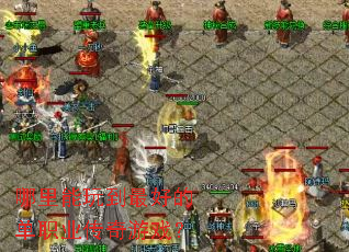 �������浽��õĵ�ְҵ������Ϸ��