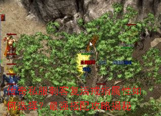 ����˽���̿͸����ָ�������ѡ����ǿ���乥�Խ���