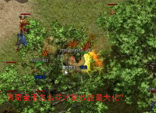 ��������ô������������󻯣�