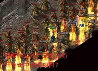 Ш����Ϊ��ʦ�������¿������б�����Σ�